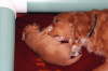 csleeping with mom