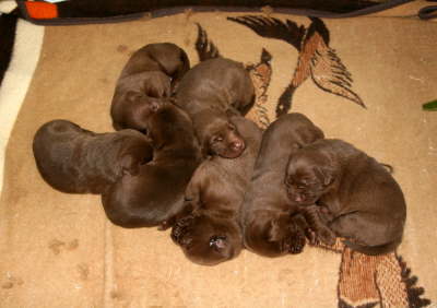 l2weeks old today