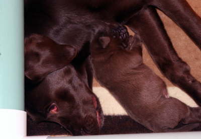 sleeping with mom