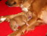 yawn1