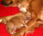 yawn2